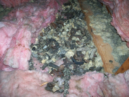 Soiled Insulation in Greater Pittsburgh Attic